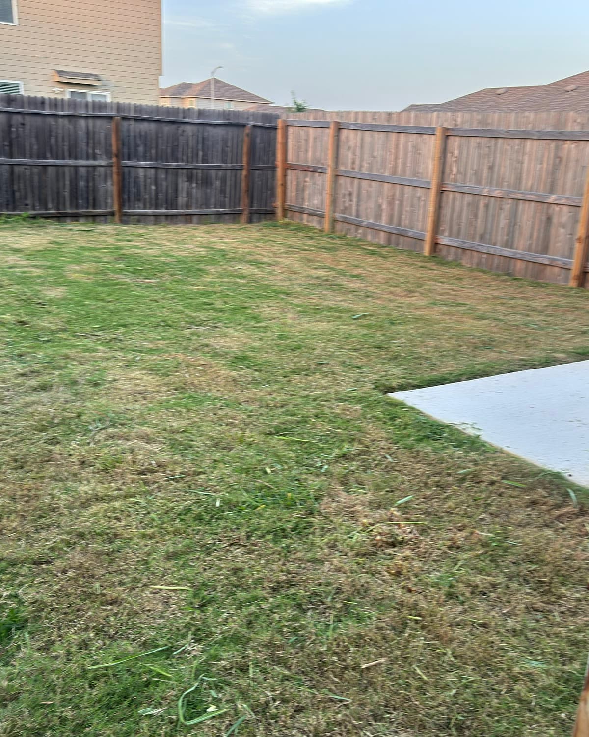 Same lawn after Alamo Property Services care, even green turf with crisp edges